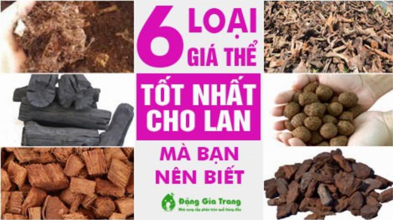 Các loại giá thể phổ biến cho việc trồng hoa phong lan như vỏ thông, than củi và dớn
